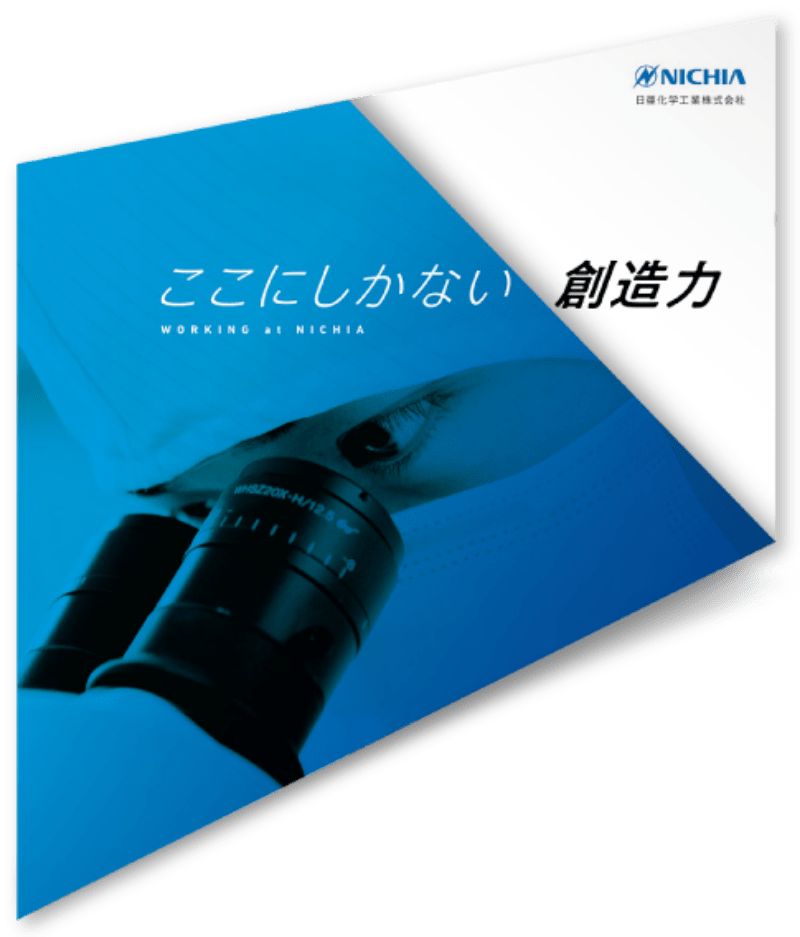 日亜化学工業株式会社 様｜採用リーフレット 表紙