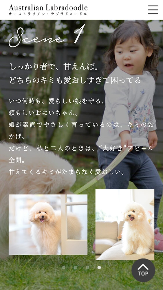 AL犬SPサイトの「ALと暮らす」ページのデザイン。